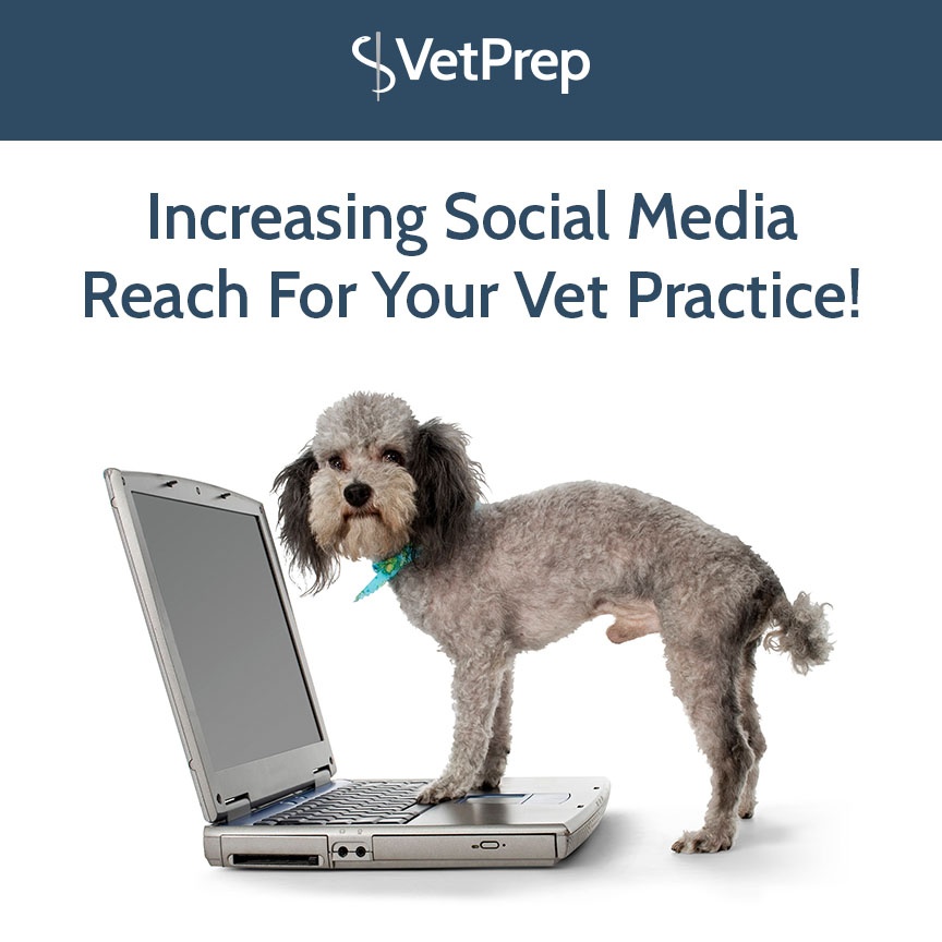 Increasing Social Media Reach For Your Vet Practice!